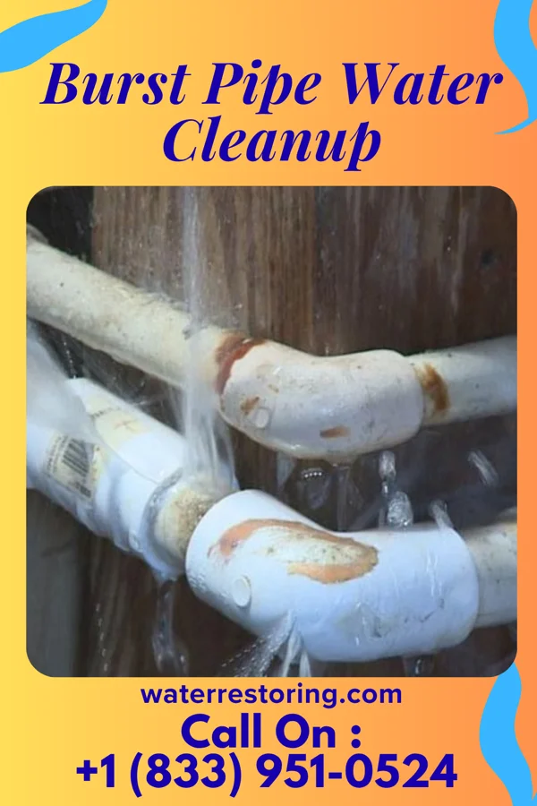 Burst Pipe Water Cleanup in Keyesport, IL
