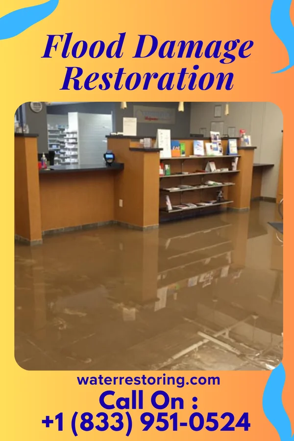 Flood Damage Restoration in Keyesport, IL