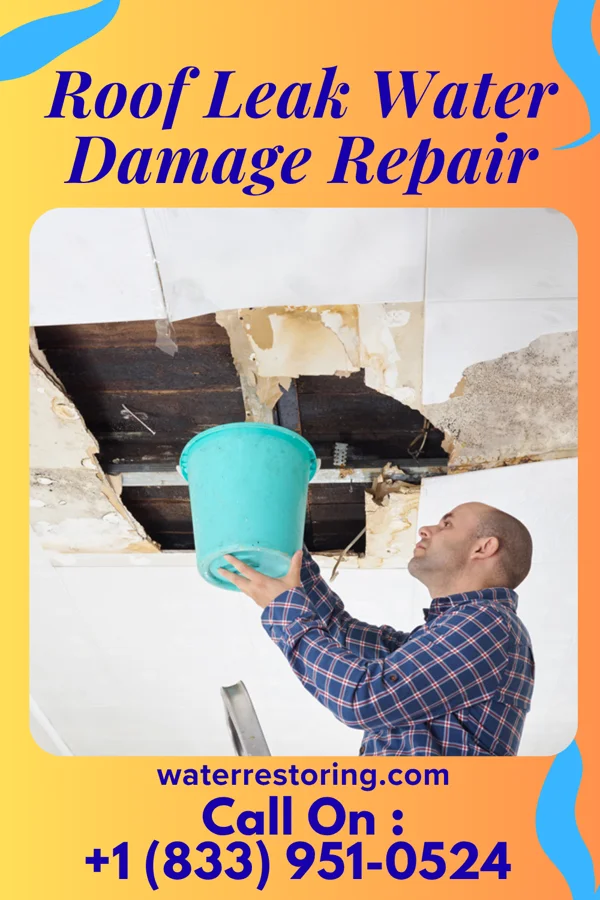 Roof Leak Water Damage Repair in Keyesport, IL