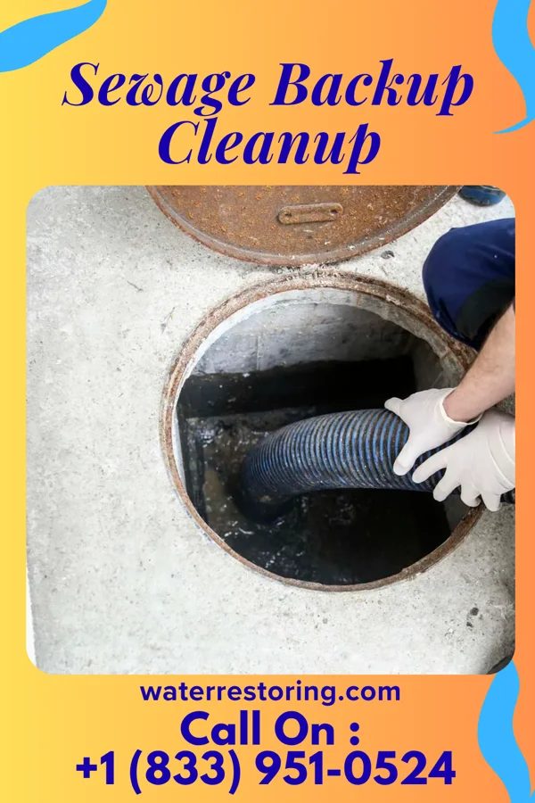 Sewage Backup Cleanup in Keyesport, IL