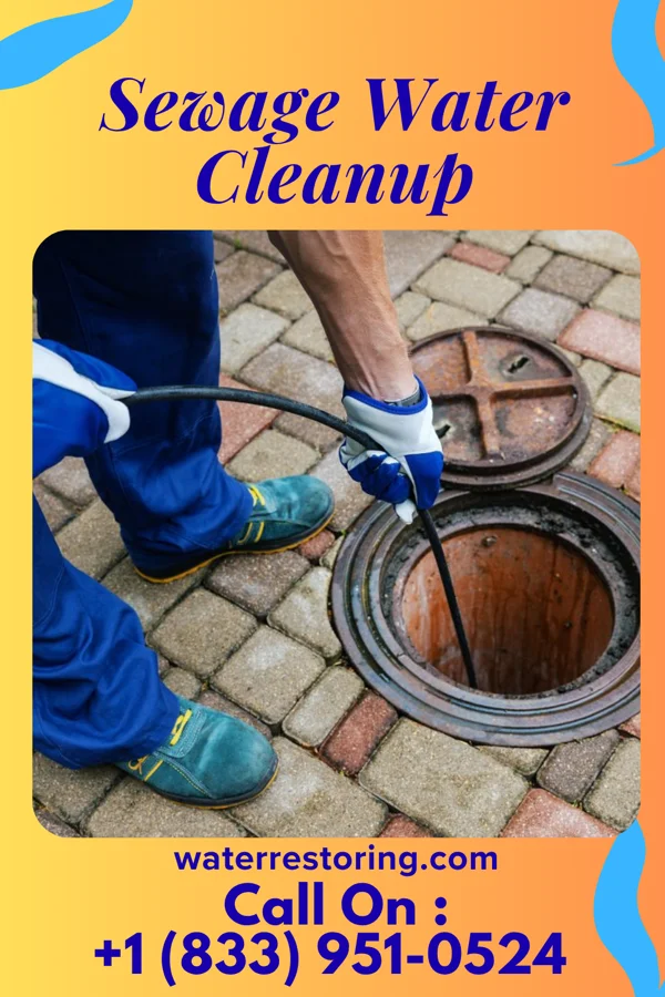 Sewage Water Cleanup in Keyesport, IL